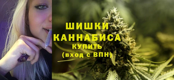 стаф Пересвет