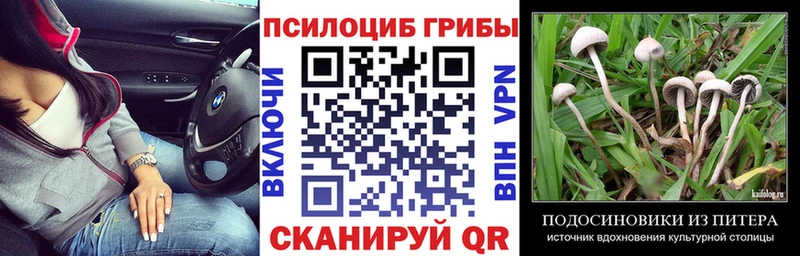 Псилоцибиновые грибы мухоморы  где купить наркотик  кракен маркетплейс  Старый Крым 